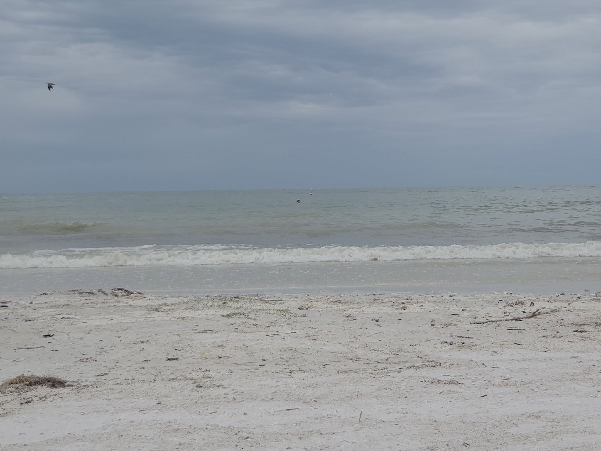 Fort Myers Beach live camera view