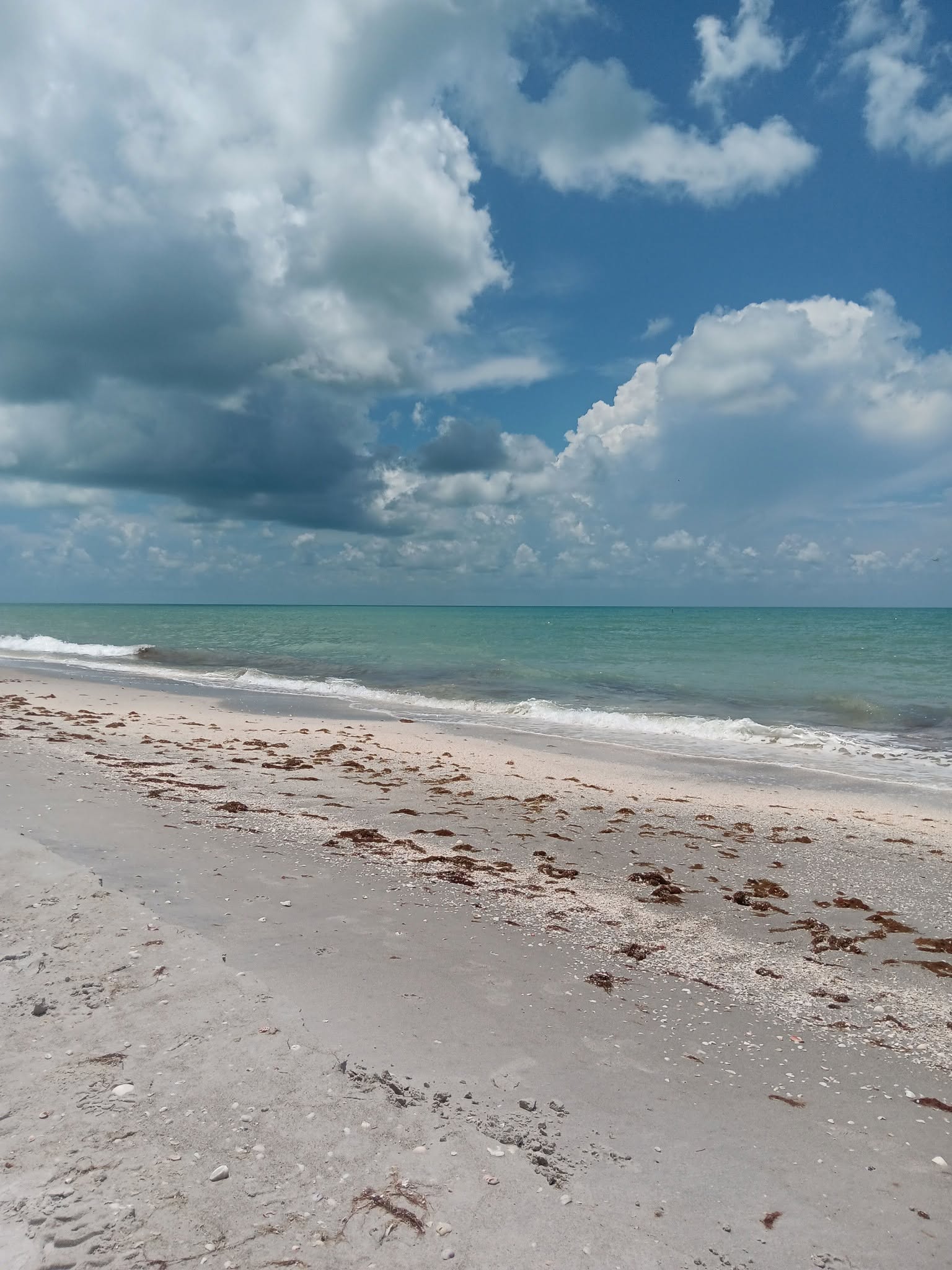 Sanibel Island live camera view