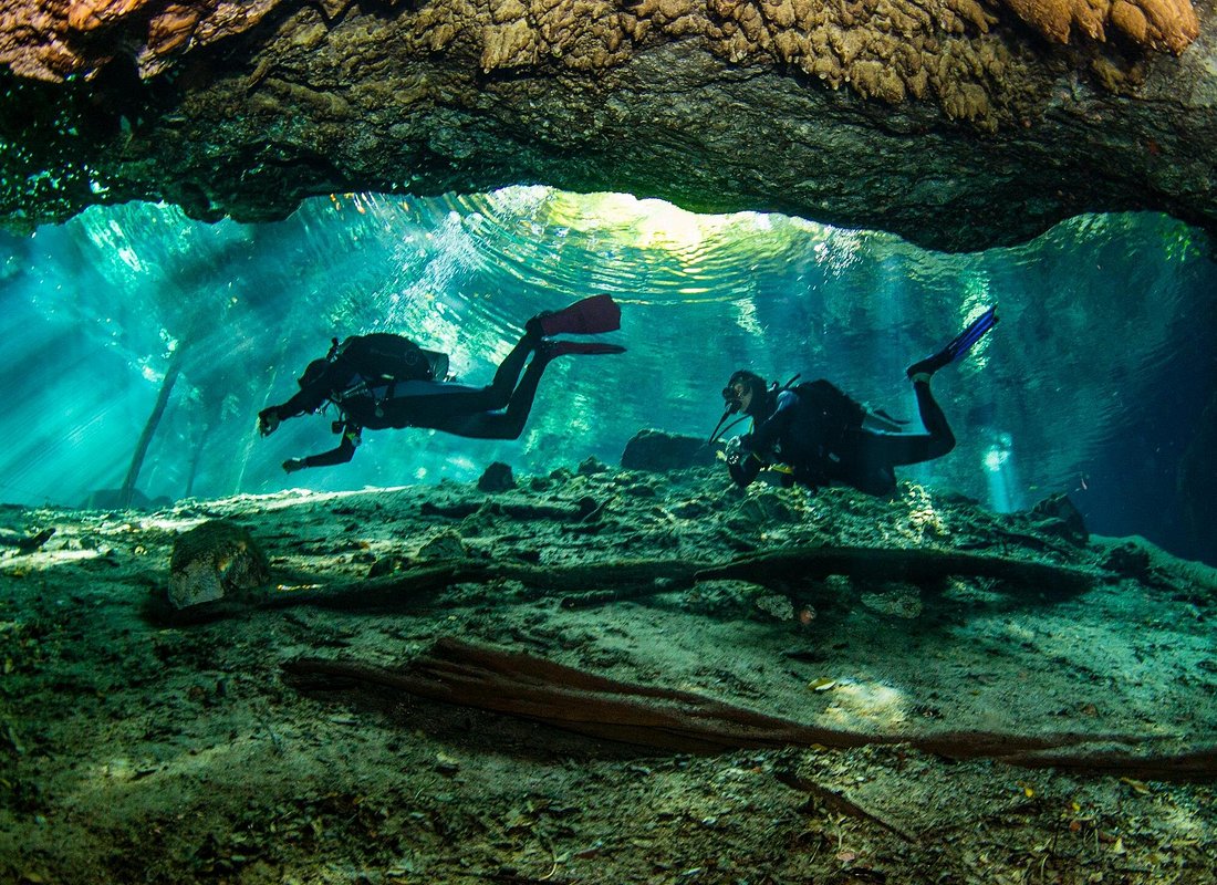 Divers silhouetted against shafts of daylight beneath the cavern overhang at Cenote Dos Ojos