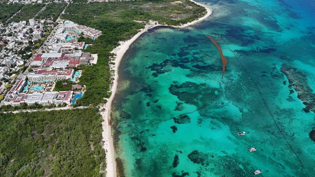 Aerial view of a resort coast, with floating sargassum barriers curving through turquoise water offshore