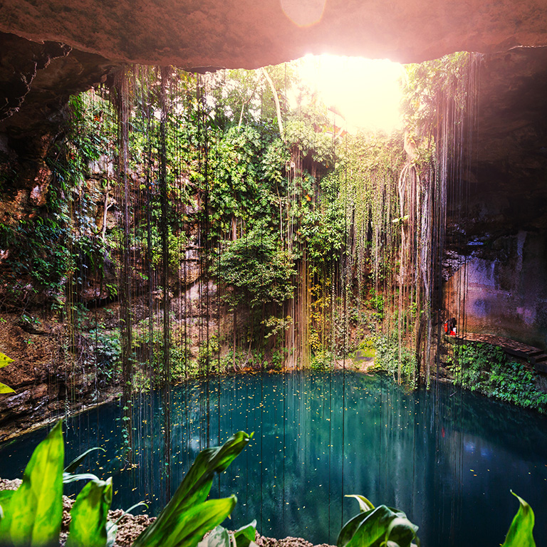 Sunlight pouring into an open cenote with hanging vines above clear blue freshwater