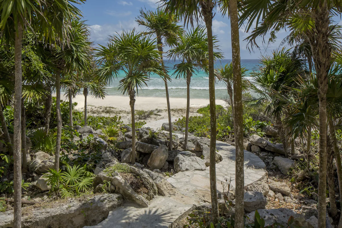 A jungle and limestone path winding down through palms to a quiet white-sand beach at La Casa de la Playa