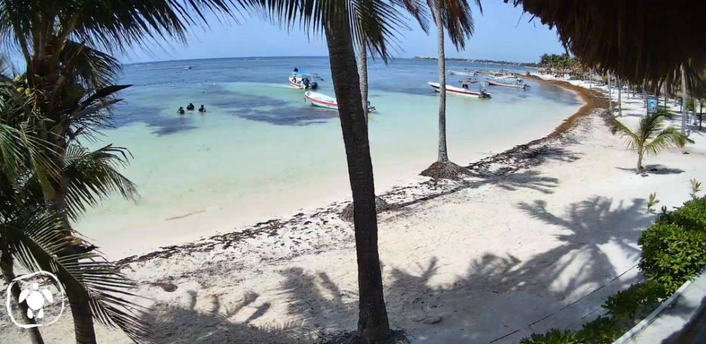 Akumal bay on 26 June with clear turquoise water, divers and boats
