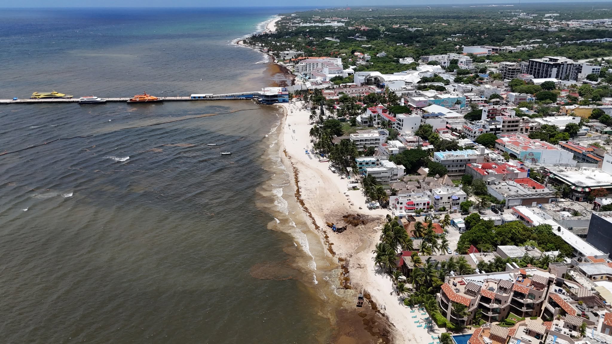 Aerial view of the Playa del Carmen shoreline with brown sargassum-stained water, a cleanup tractor on the sand and an offshore barrier off the ferry pier