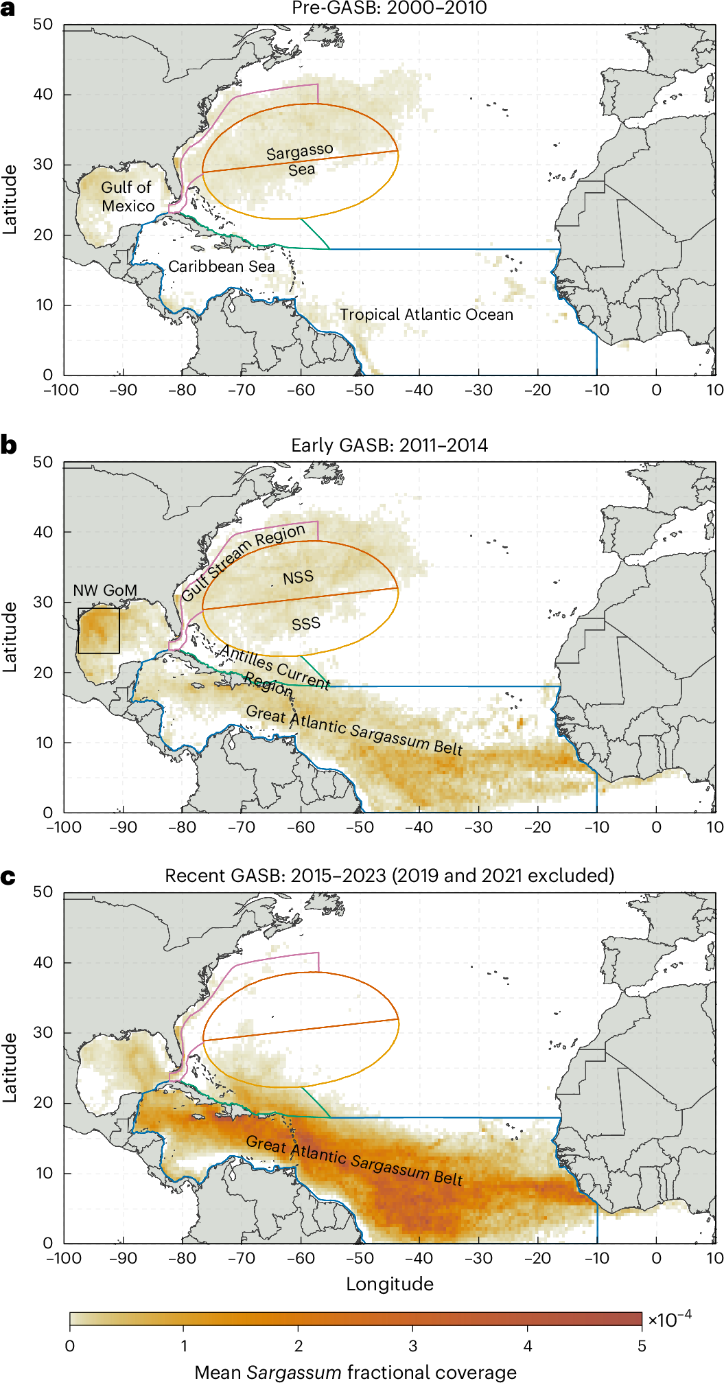 Three maps of the North Atlantic showing average sargassum cover in 2000 to 2010, 2011 to 2014 and 2015 to 2023. Sargassum moves from the Sargasso Sea into a belt across the tropical Atlantic and Caribbean.