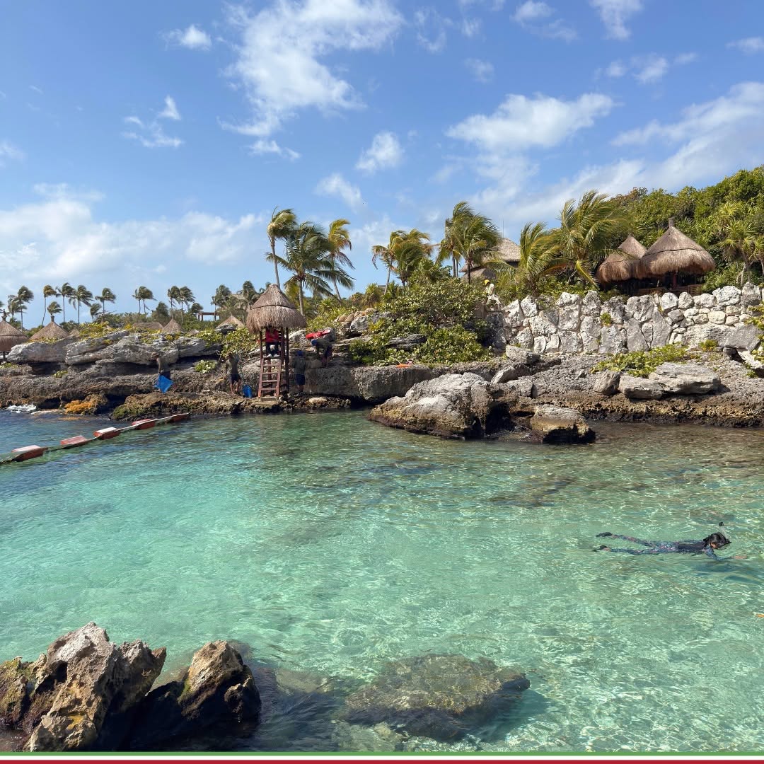 Snorkellers in a clear turquoise cove framed by palms and limestone at a nature park