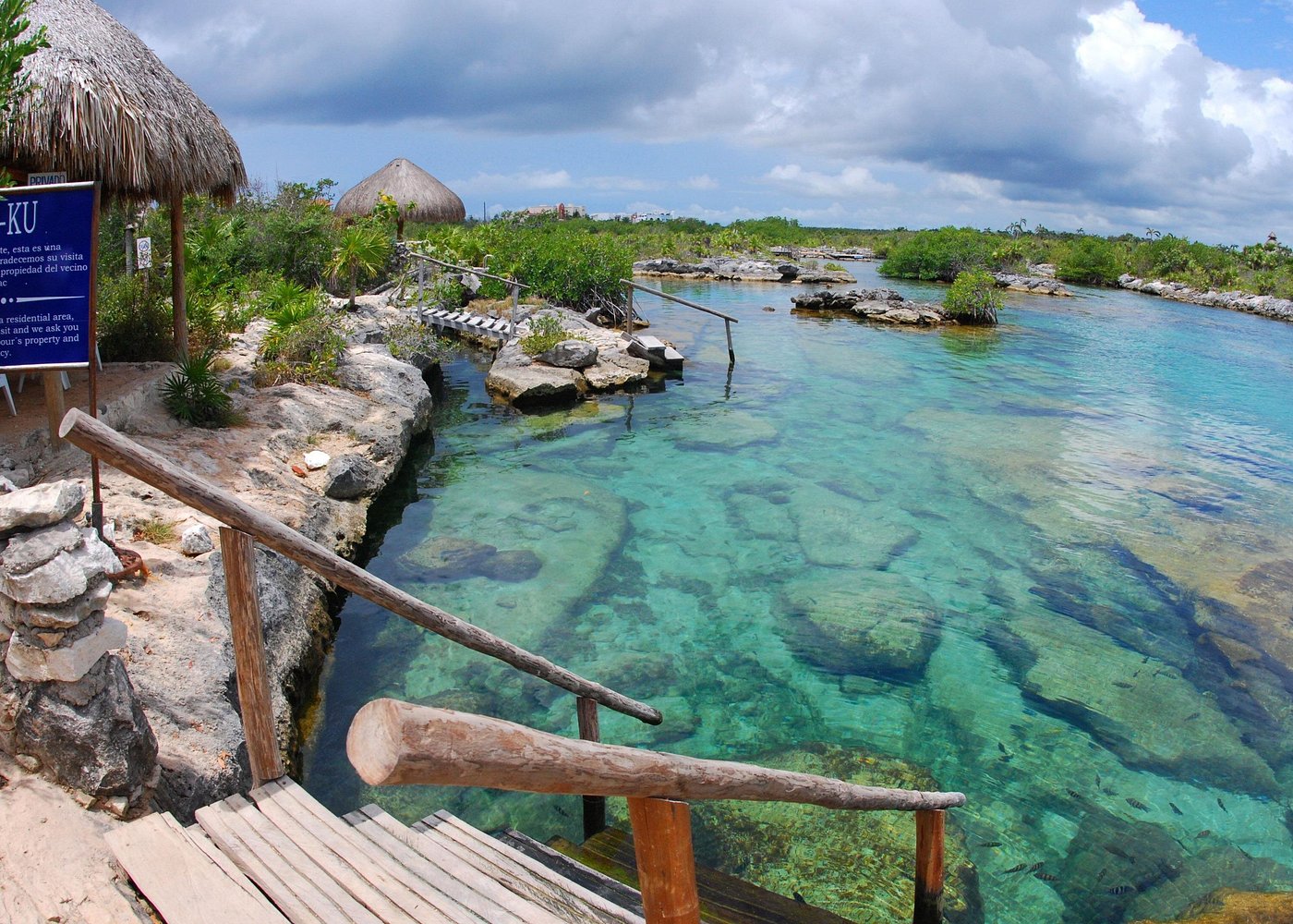 The Yal-kú lagoon inlet, clear green and turquoise water over limestone with fish visible below the surface and a wooden walkway at the edge