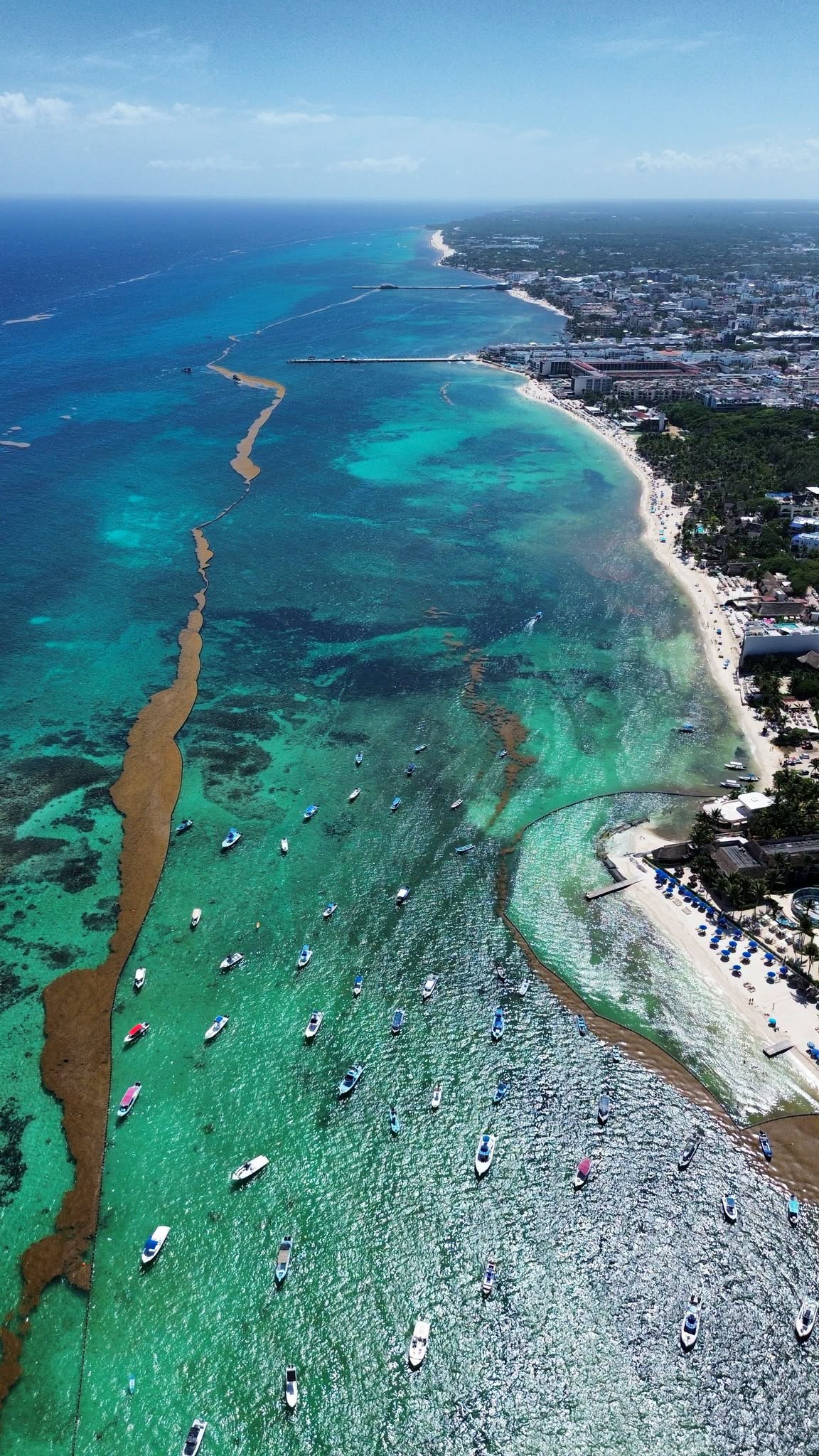 Aerial view along the Playa del Carmen shoreline showing a long sargassum line held against the offshore containment barrier, with brown water inshore of a boomed hotel beach