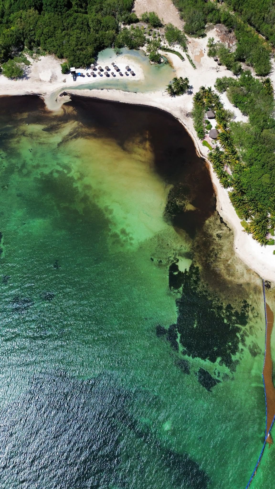Aerial view of Punta Esmeralda showing dark brown water filling the cove beside the freshwater cenote outlet, with the containment barrier running along the right of the frame