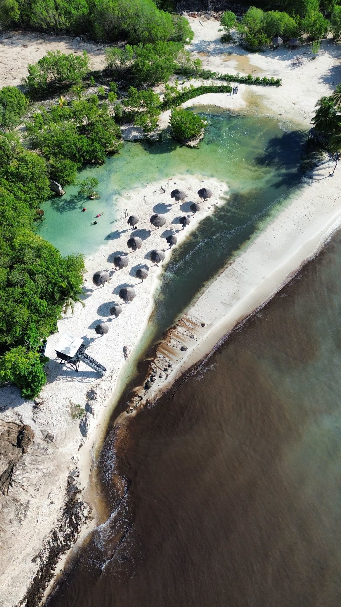 Aerial view of Punta Esmeralda on September 25, 2026, showing dark brown seawater along the beach and discoloured water flowing into the channel that leads to the cenote pool