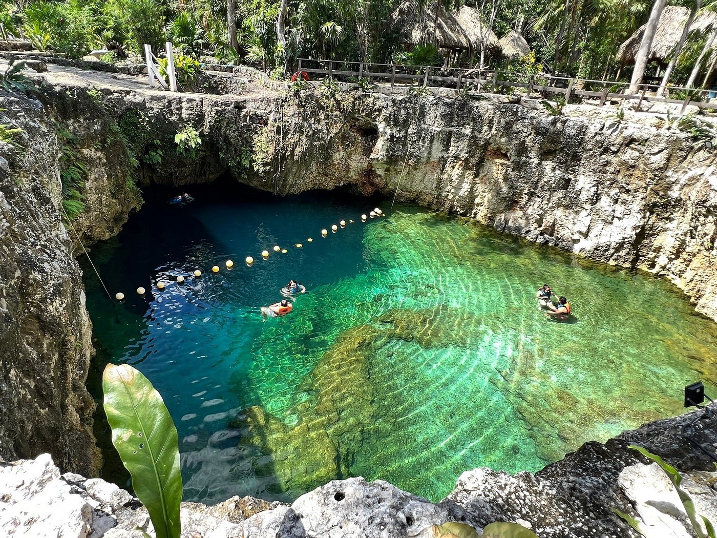 The open basin of Cenote Siete Bocas seen from the rim: green shallows, a buoy line across the water, swimmers on floats and a cavern overhang on the far side