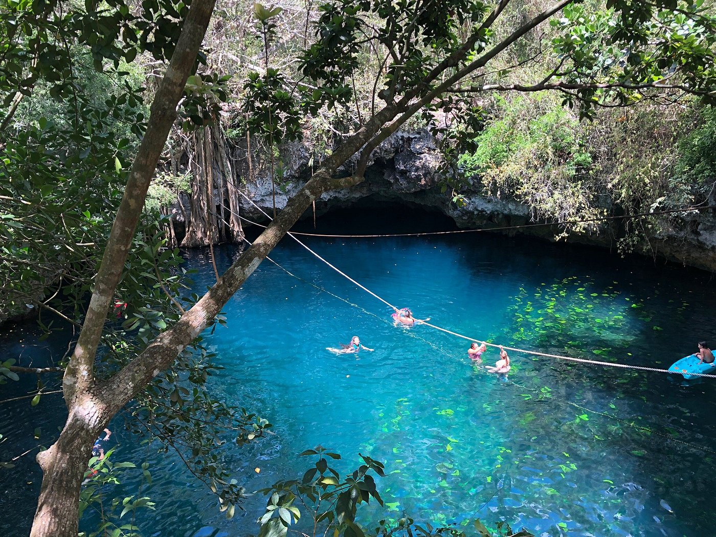 Swimmers in the bright blue water of Cenote Verde Lucero, a rope strung across the pool beneath overhanging trees and a limestone overhang